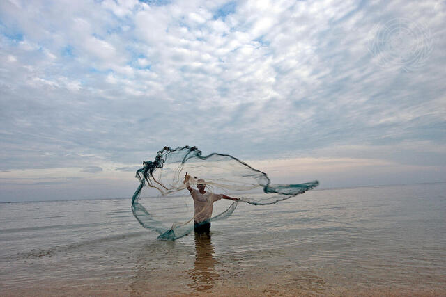 Fisherman Casts Net