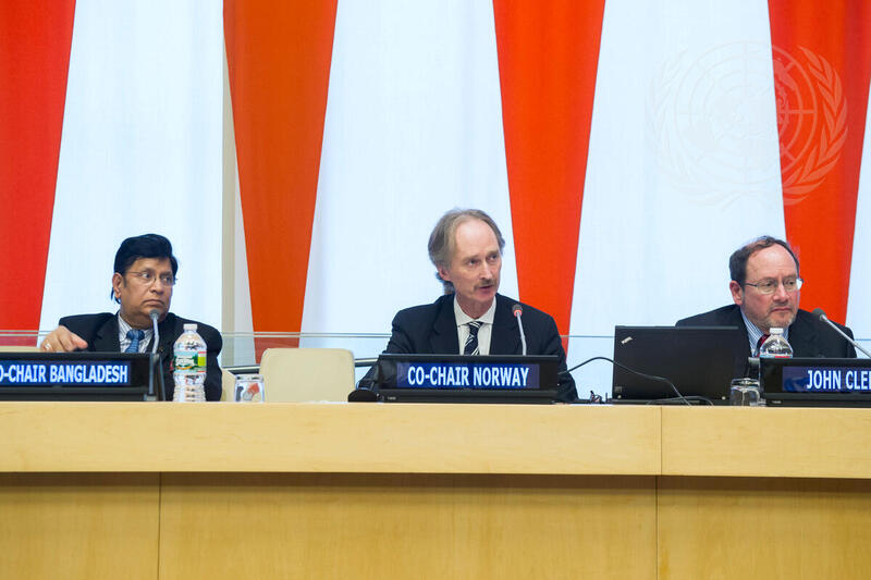 Special Event on Health-related Millennium Development Goals