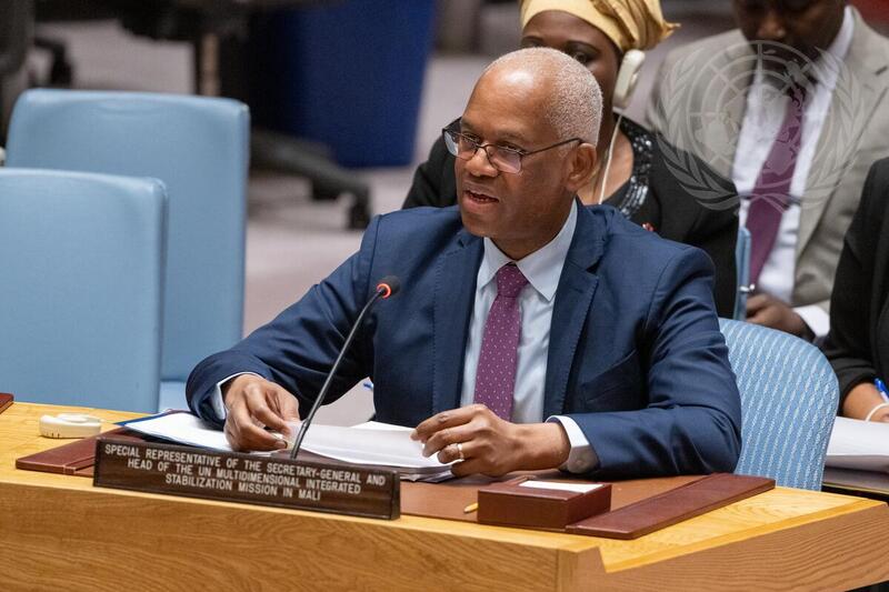 Security Council Meets on Situation in Mali