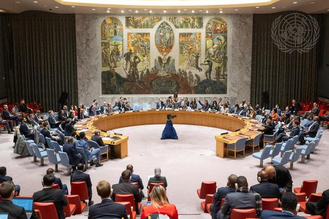 Security Council Lifts Arms Embargo on Somalia