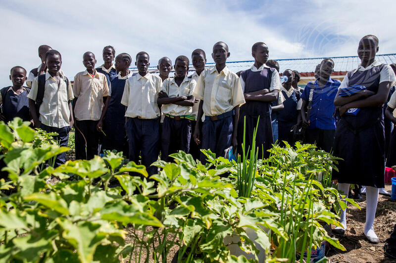 FAO Supports Community Farming Projects in South Sudan