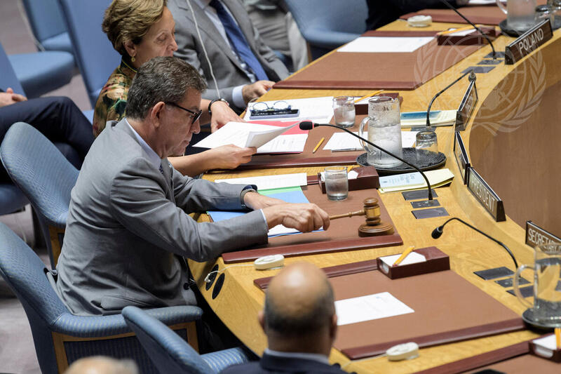 Security Council Considers Situation in Cyprus