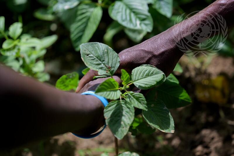 Observance of 30 Years Since Genocide in Rwanda