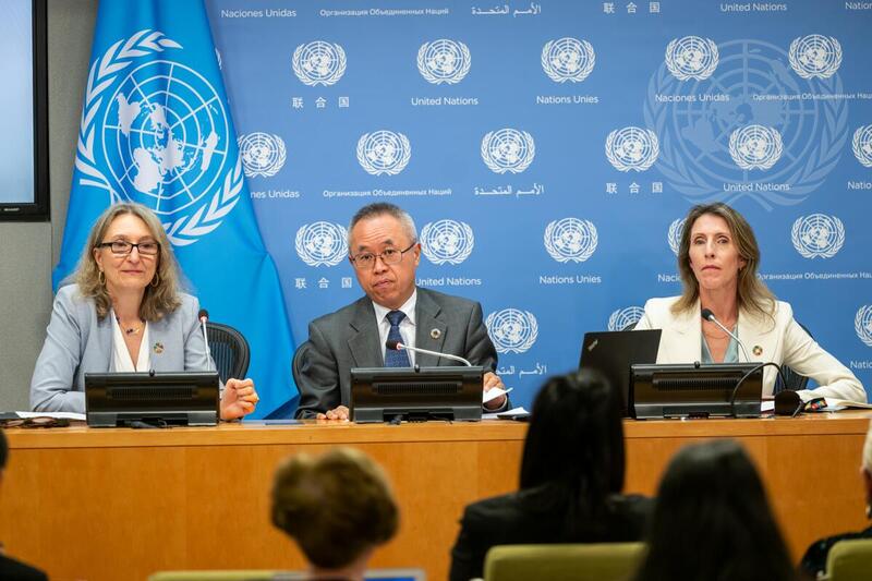 Press Briefing on Launch of Sustainable Development Goals Report