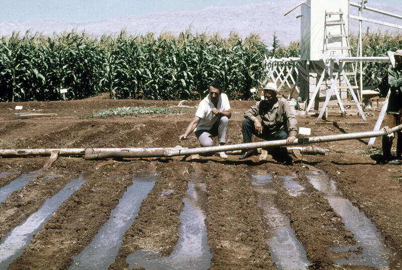 Farming for Development: Irrigation Project in Lebanon