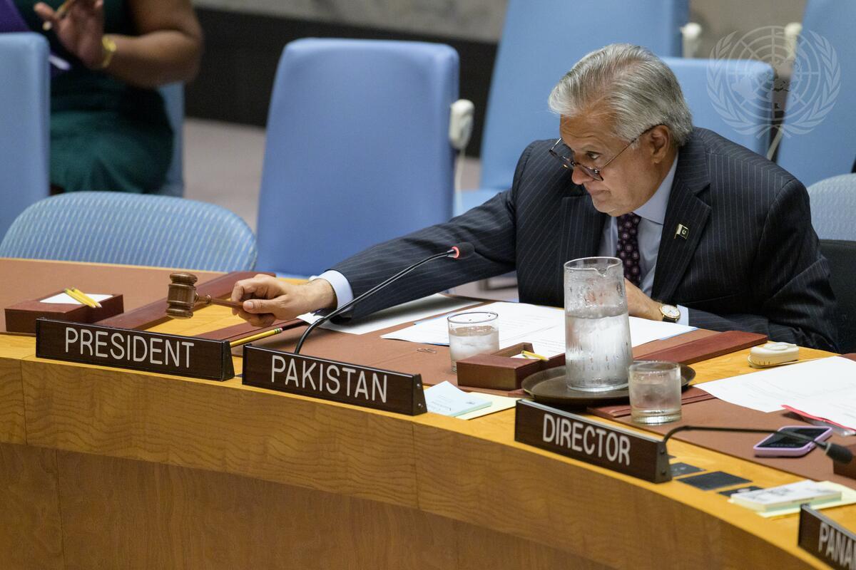 Security Council Meets on Cooperation between UN and Organization of Islamic Cooperation in Maintaining International Peace and Security
