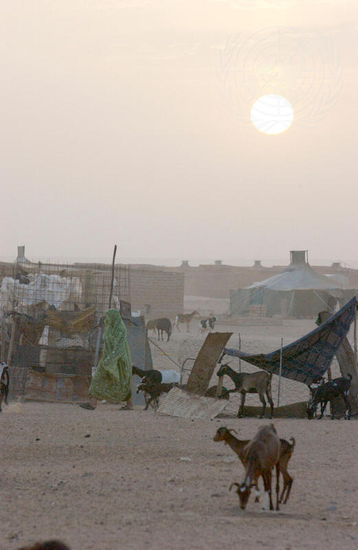 Western Sahara | UN Photo