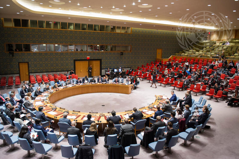 Security Council Discusses Developments in Kosovo