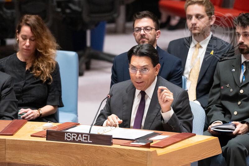 Security Council Meets on Maintenance of International Peace and Security
