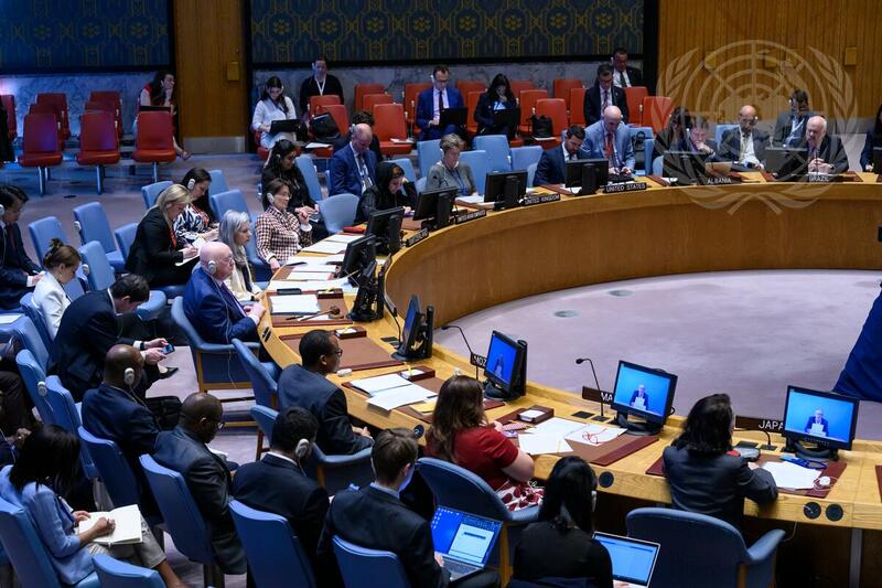 Security Council Meets on United Nations Verification Mission in Colombia