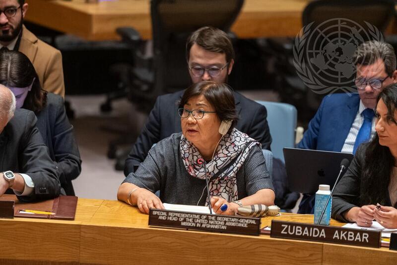 Security Council Meets on Situation in Afghanistan
