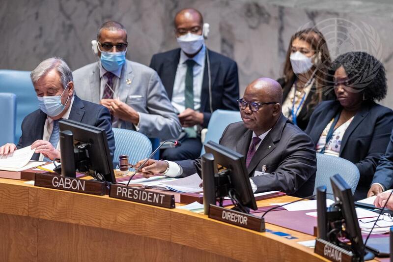 Security Council Meets on Cooperation between UN and African Union in Maintaining International Peace and Security