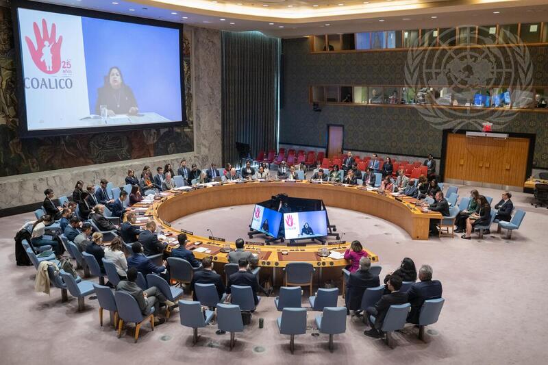 Security Council Meets on UN Verification Mission in Colombia