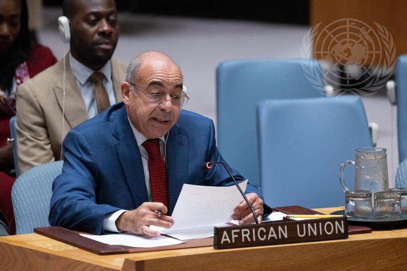Security Council Meets on Cooperation between UN and African Union