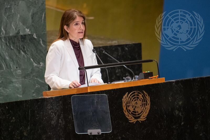 General Assembly Hears Report of Economic and Social Council and Human Rights Council