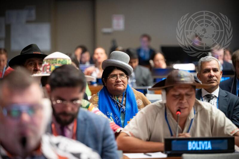 Dialogue on Financing of Indigenous Peoples' Work and Participation Across Multilateral and Regional System
