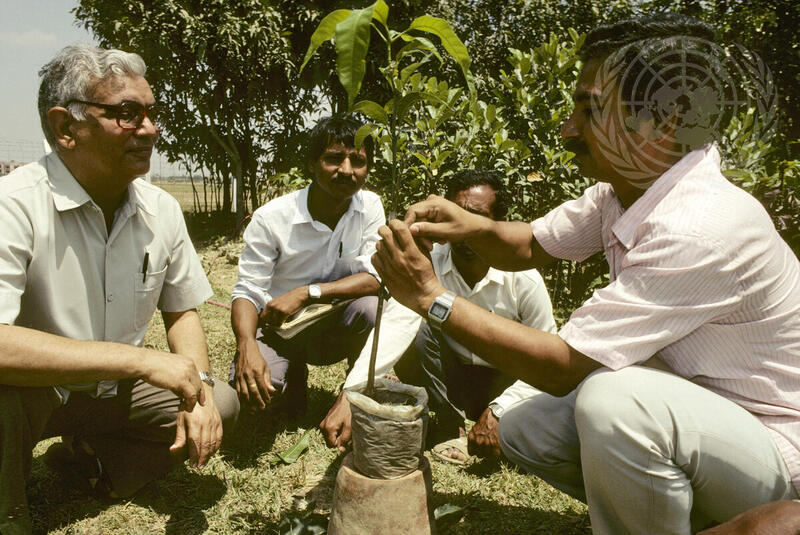 United Nations Development Programme Helps Agricultural Research Projects in Bangladesh