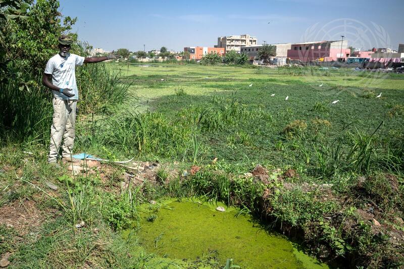 The Plastic Man Fights Plastic Pollution in Dakar