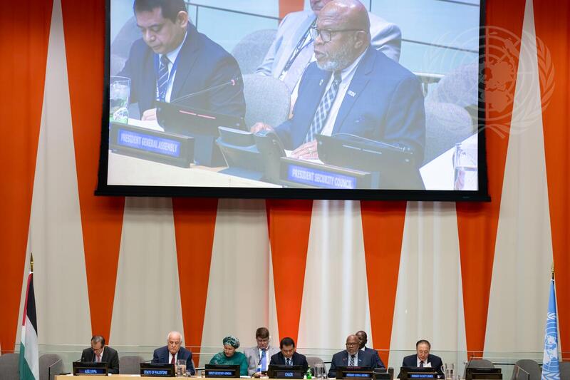 Special Meeting in Observance of International Day of Solidarity with Palestinian People