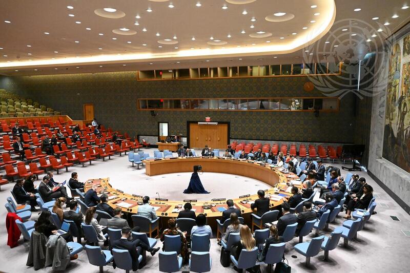 Security Council Hears Briefing by Chair of Organization for Security and Cooperation in Europe