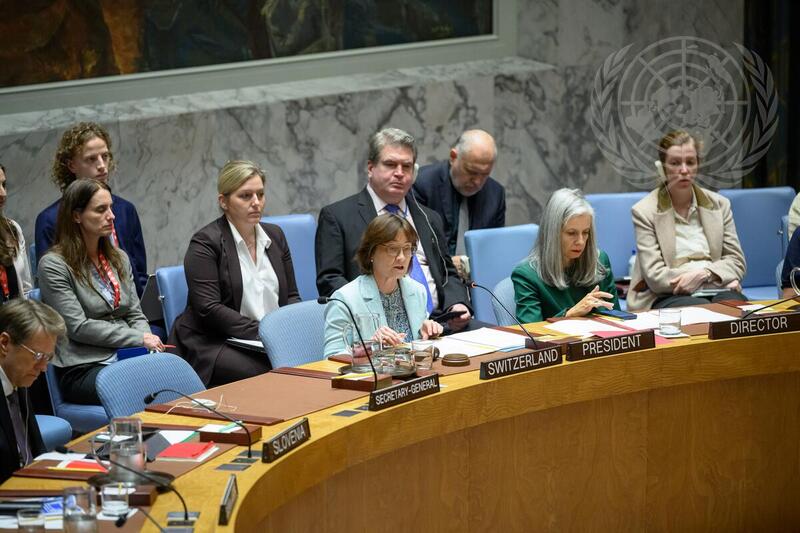 Security Council Meets on Maintenance of Peace and Security of Ukraine