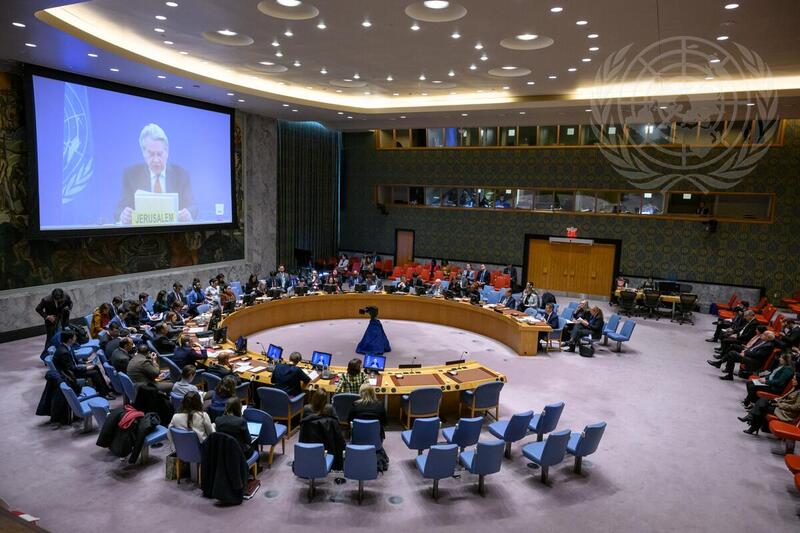 Security Council Meets on Situation in Middle East, Including Palestinian Question