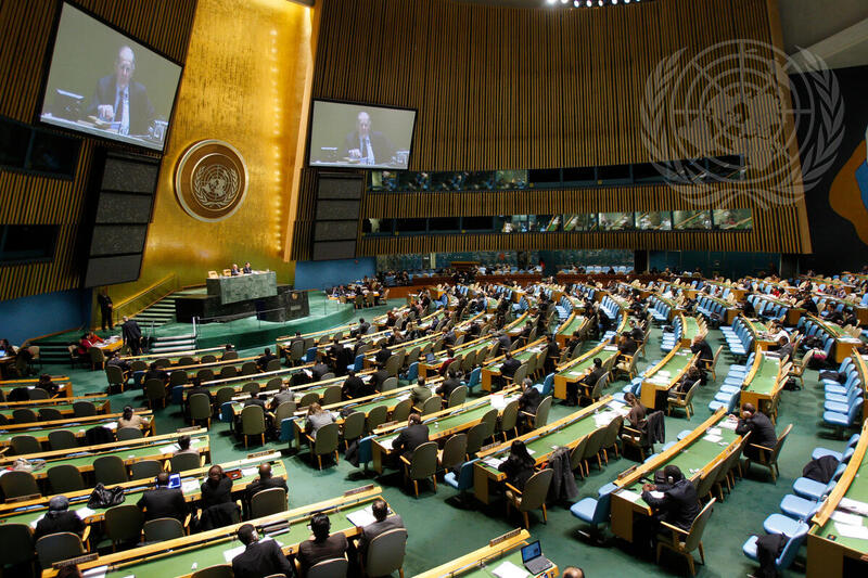Sixty-fifth Session of the General Assembly