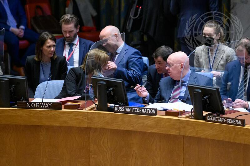 Security Council Meets on Threats to International Peace and Security
