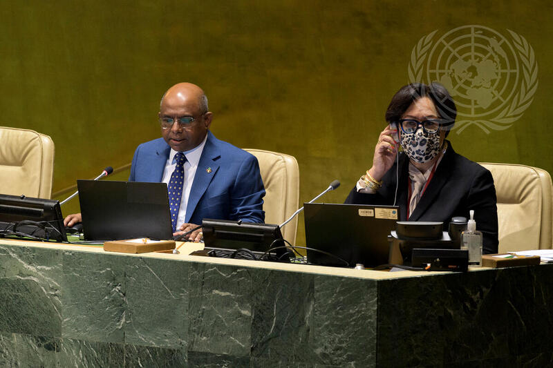 General Assembly Meets on Rights of Indigenous Peoples and Strengthening of UN System