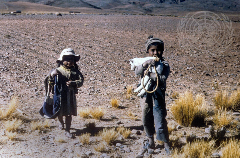 Increasing Agricultural Productivity in the Bolivian Altiplano