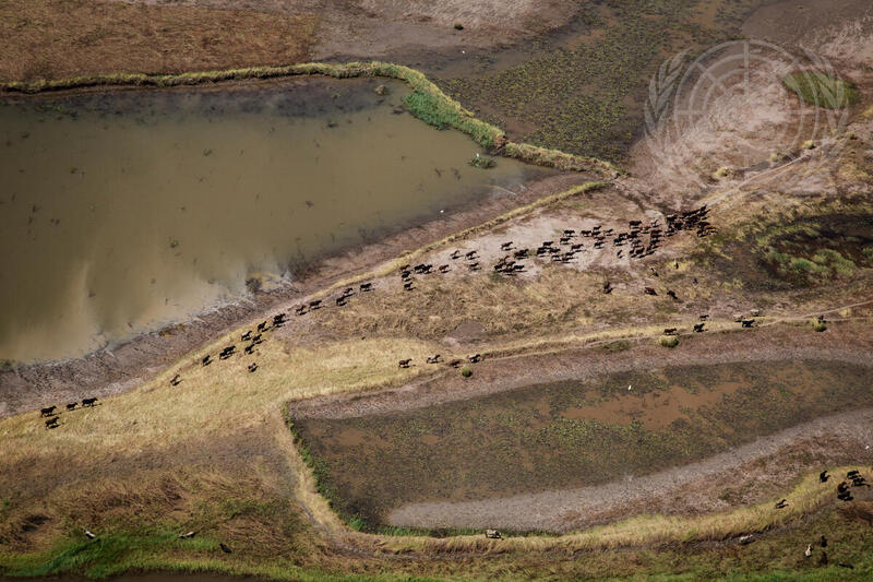 Aerial Views of Eastern Mali