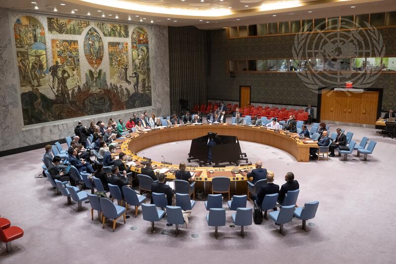 Security Council Meets on Situation Concerning Iraq