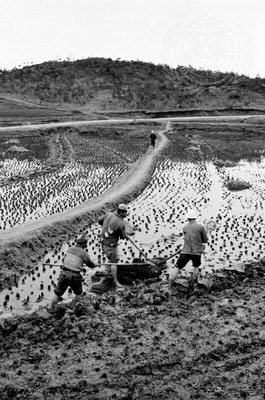 Increasing Agricultural Production in Republic of Korea
