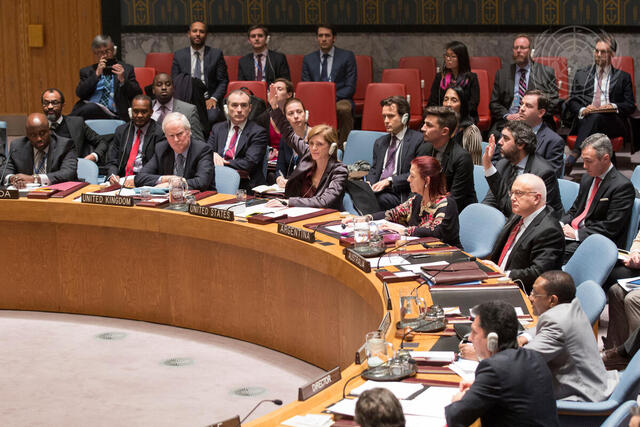 Security Council Fails to Adopt Resolution on Palestinian Statehood