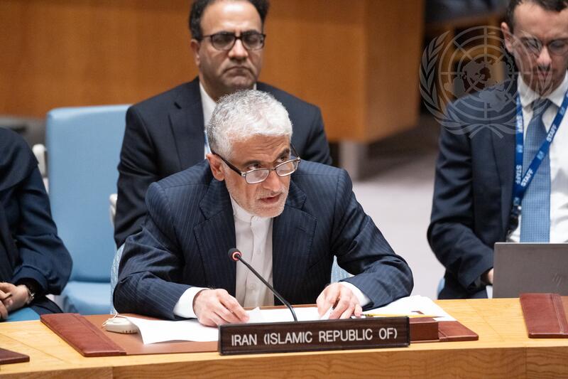Security Council Meets on Maintenance of International Peace and Security