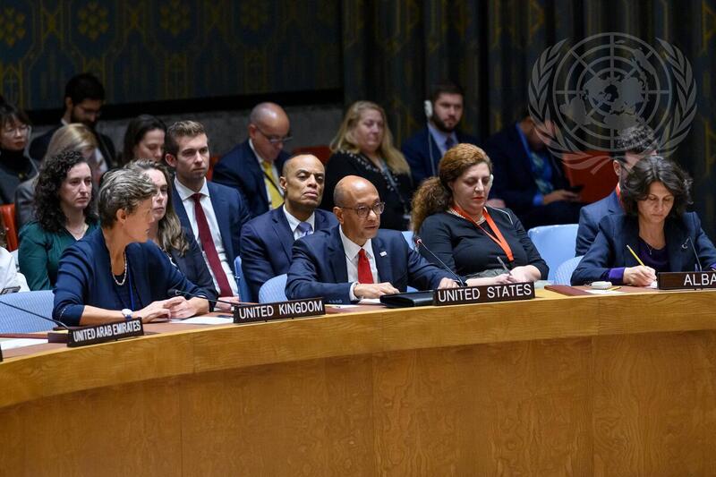 Security Council Fails to Adopt Resolution on Humanitarian Ceasefire in Gaza