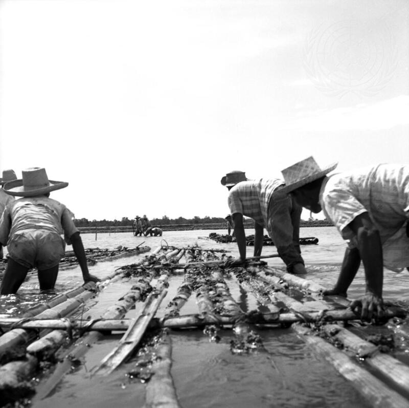Salt Production in the Philippines
