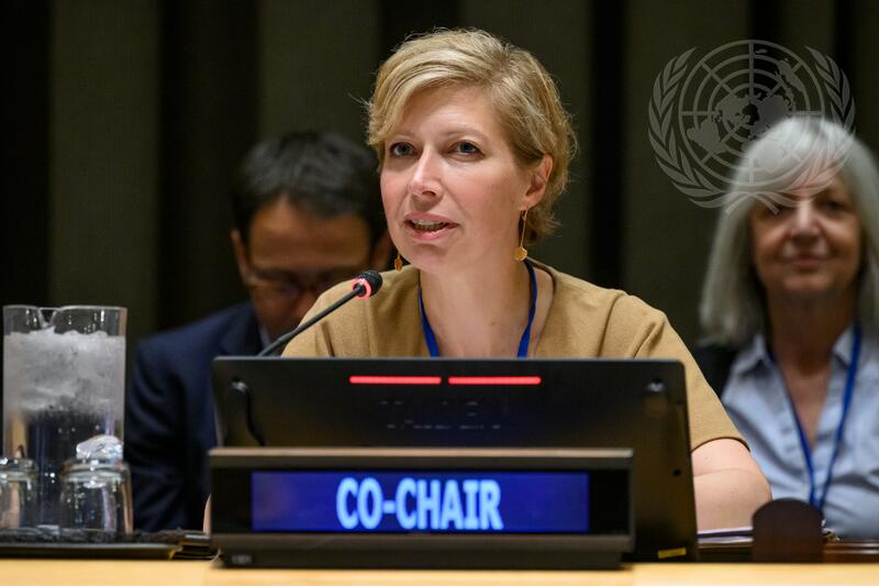 General Assembly Holds Preparatory Meeting before International Conference for Peaceful Settlement of Question of Palestine and Implementation of Two-State Solution