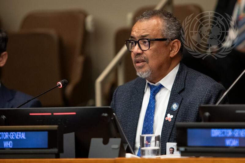 High-level Meeting on Antimicrobial Resistance (AMR)