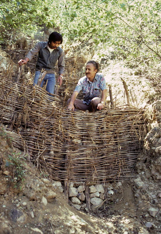 Forest Management in the Philippines