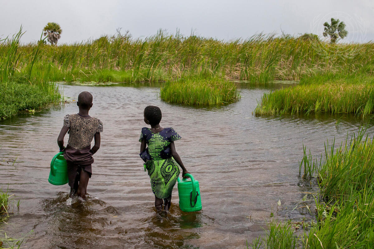 Recent Influx of IDPs in Nyal Payam, South Sudan