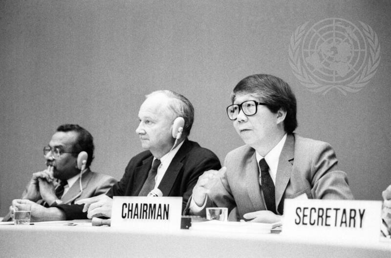 United Nations Conference on Environment and Development