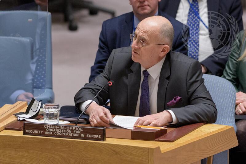 Security Council Hears Briefing by Organization for Security and Cooperation in Europe