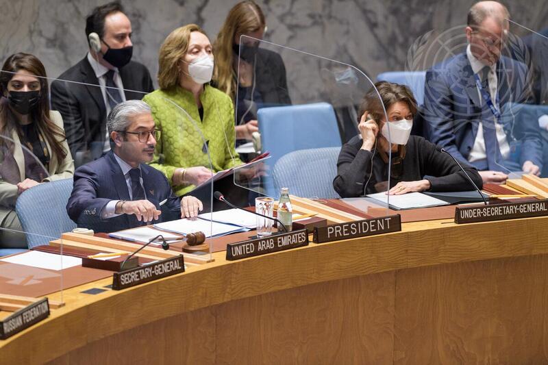 Security Council Hears Briefing by Organization for Security and Cooperation in Europe
