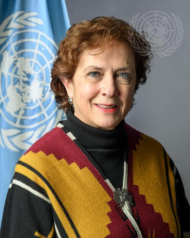 Portrait of Special Representative for Haiti and Head of United Nations Integrated Office in Haiti