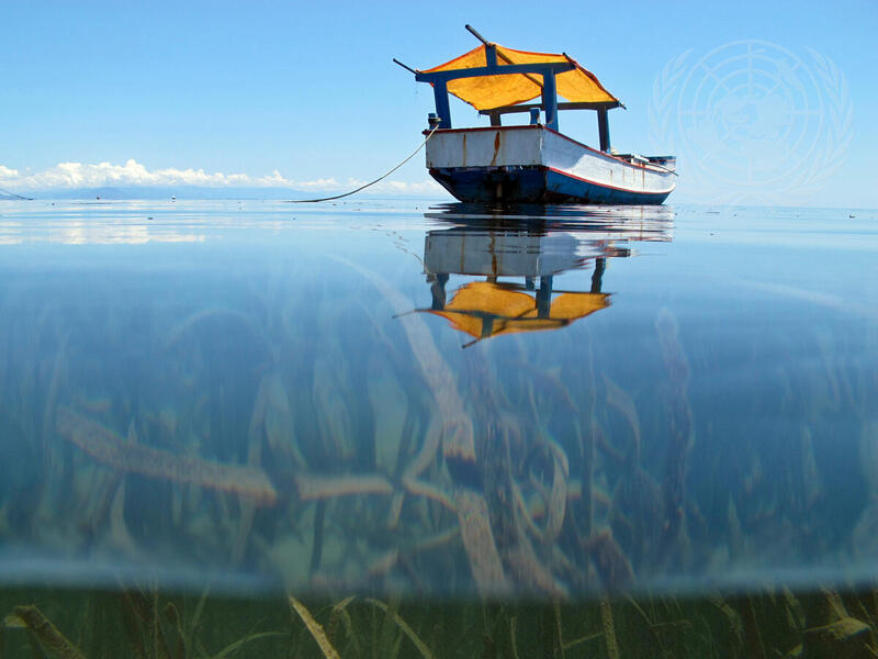 Fishing off Atauro Island, Timor-Leste