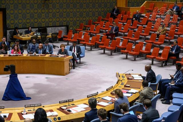 Security Council Meets on Situation in Somalia