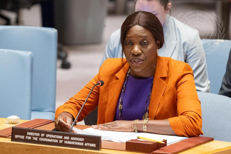 Security Council Meets on Sudan and South Sudan