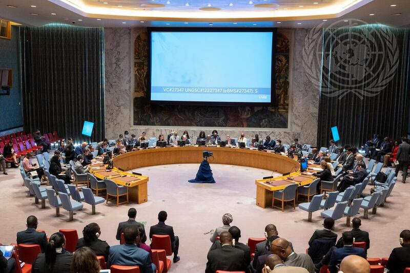 Security Council Meets on Cooperation between UN and African Union in Maintaining International Peace and Security