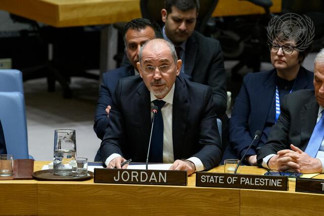 Security Council Meets on Situation in Middle East, Including Palestinian Question